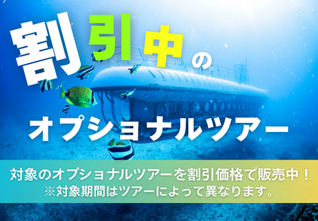 割引中のツアー