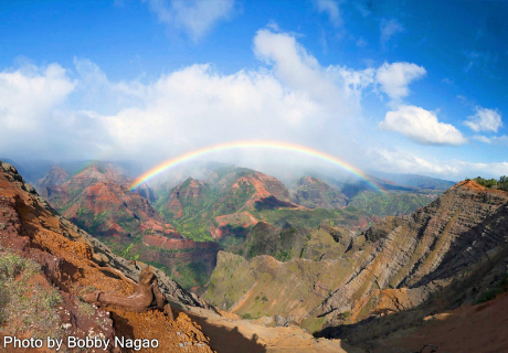 カウアイ島 ハワイ 人気オプショナルツアーのご予約はjalpakハワイ