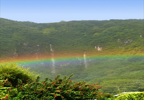 ツアー詳細 - ハワイ 人気オプショナルツアーのご予約はJALPAKハワイ