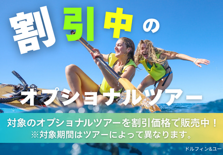 割引中のツアー