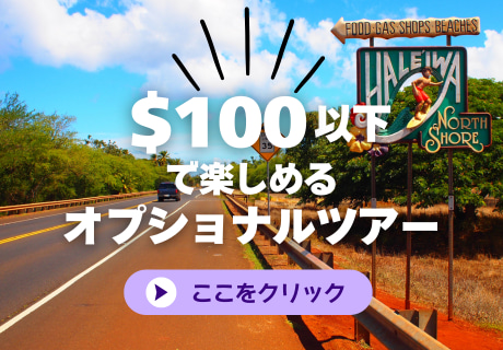 $100以下のオプショナルツアー！